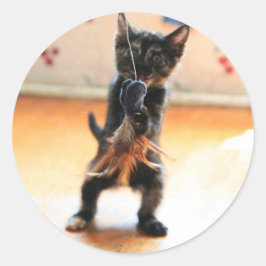 子猫フライ ラウンドシール