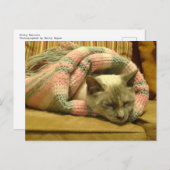 子猫ブリト ポストカード (正面/裏面)