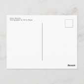 子猫ブリト ポストカード (裏面)