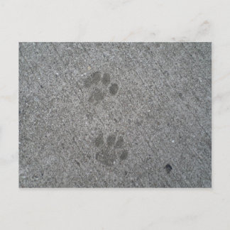 子猫プリント ポストカード