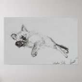 子猫'ベビー' ポスター (正面)