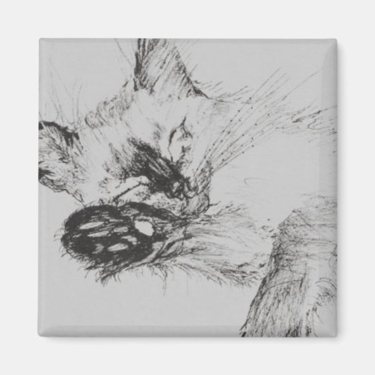 子猫'ベビー' マグネット (正面)