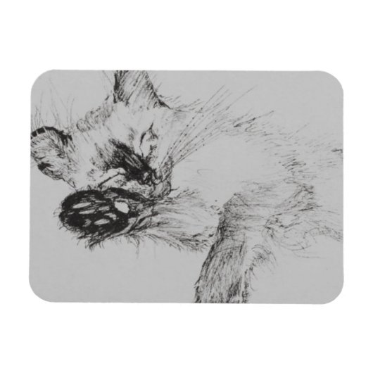 子猫'ベビー' マグネット (横)