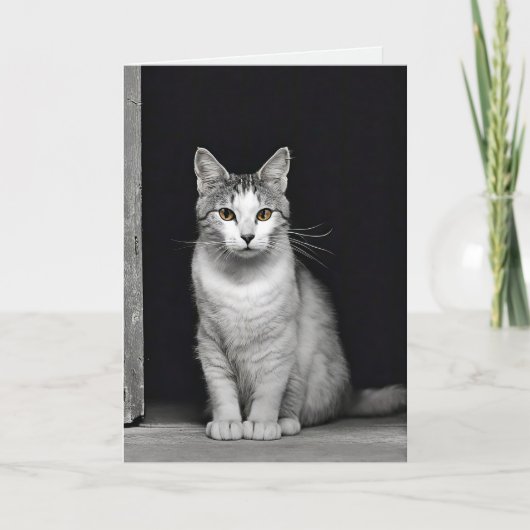 子猫ペットロス悔やみや弔慰 カード (正面)