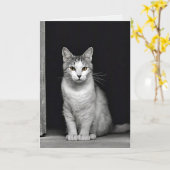 子猫ペットロス悔やみや弔慰 カード (黄色い花)