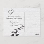 子猫ペットロス悔やみや弔慰from獣医 ポストカード (裏面)