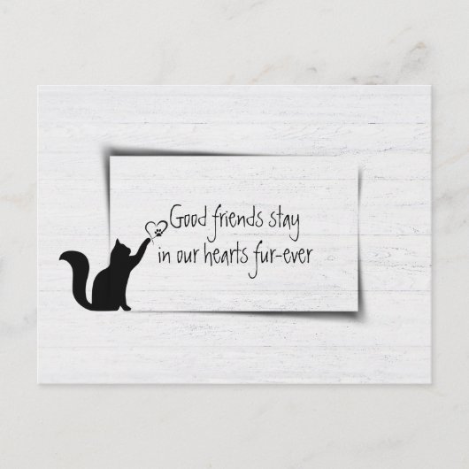 子猫ペットロス悔やみや弔慰from獣医 ポストカード (正面)