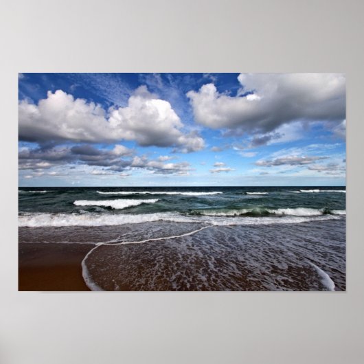 子猫ホークサーフィン ポスター (正面)