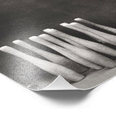 子猫ボーリング フォトプリント            (角)