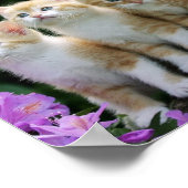 子猫ポスター ポスター (角)