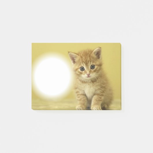 子猫ポー ポストイット (正面)
