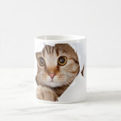 子猫マグカップ コーヒーマグカップ (中央)