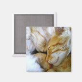子猫マグネットの寄り添い マグネット (正面/裏面)