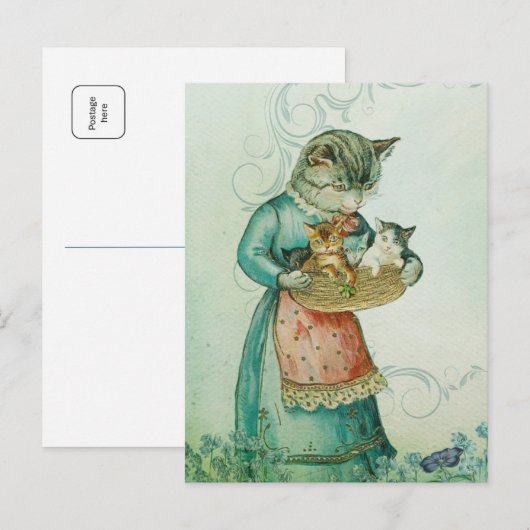 子猫ママ ポストカード (正面/裏面)