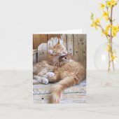 子猫ラブの挨拶 カード (黄色い花)