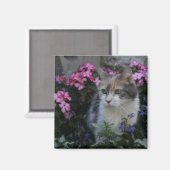 子猫ラブマグネット マグネット (正面/裏面)