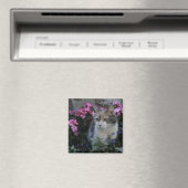 子猫ラブマグネット マグネット (インサイチュ (食洗機))