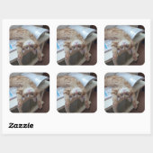 子猫リラックスの スクエアシール (シート)