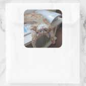 子猫リラックスの スクエアシール (バッグ)