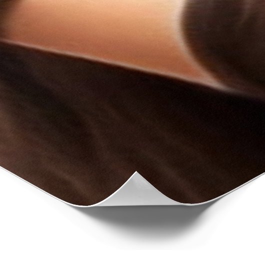 子猫ワイフ11 ポスター (角)