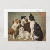 子猫入りヴィンテージ1900年はがき ポストカード (正面/裏面)