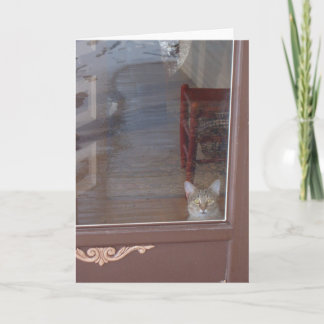 子猫入り口 カード