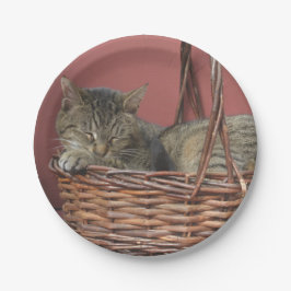 子猫入り紙プレート ペーパープレート