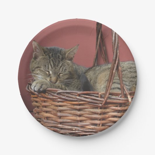 子猫入り紙プレート ペーパープレート (正面)