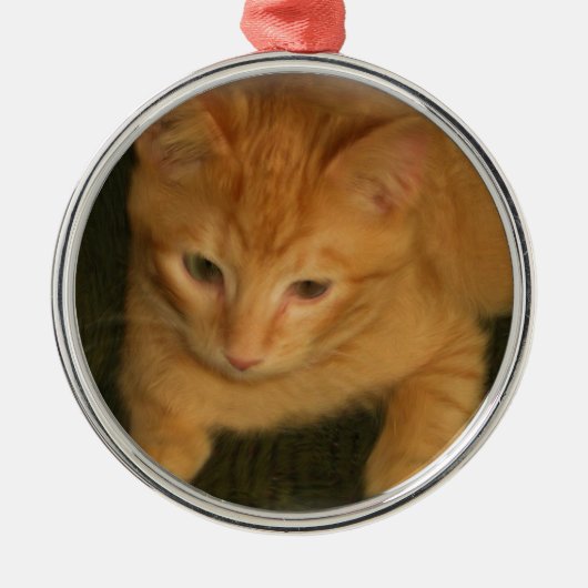 子猫写真オーナメント メタルオーナメント (正面)