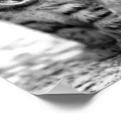 子猫写真ポスター ポスター (角)