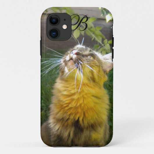 子猫大切モノグラムiPhone 5ケース Case-Mate iPhoneケース (裏面)