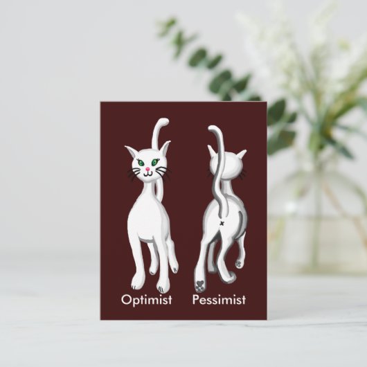 子猫子猫 ポストカード (スタンド正面)