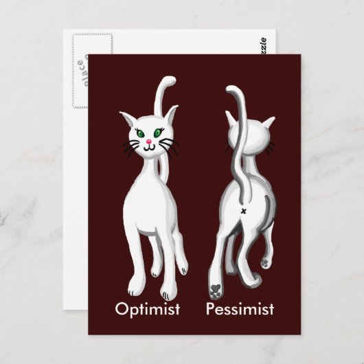 子猫子猫 ポストカード (正面/裏面)