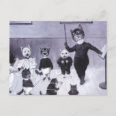 子猫学が歌う ポストカード (正面)