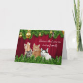 子猫家族のクリスマス シーズンカード (正面)