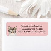 子猫差出人住所ラベルガーリー- Pink Cat ラベル (インサイチュ)