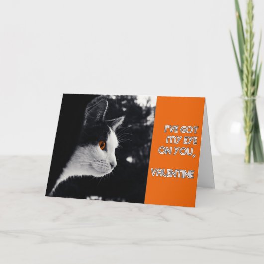 子猫得はバレンタインデーモダンン シーズンカード (正面)