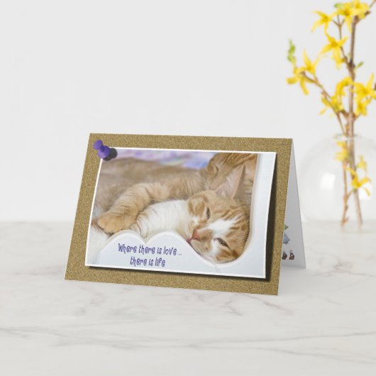 子猫愛 カード (黄色い花)