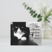 子猫態度 – どうぞ、私の日はがきを作成 ポストカード (スタンド正面)