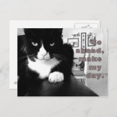 子猫態度 – どうぞ、私の日はがきを作成 ポストカード (正面/裏面)