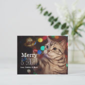 子猫救済とクリスマスツリー シーズンポストカード (スタンド正面)