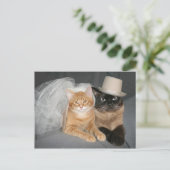 子猫新郎新婦 ポストカード (スタンド正面)