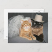 子猫新郎新婦 ポストカード (正面/裏面)