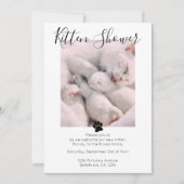 子猫歓迎キュートなネコ里親募集 招待状 (正面)