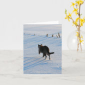 子猫歩くイン雪コーンフィールドオールオカージョン カード (黄色い花)