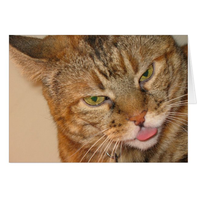 子猫猫のキス (正面横)