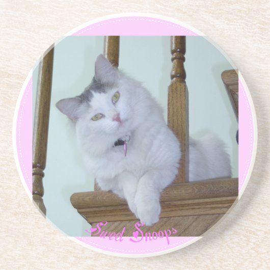 子猫猫のコースター コースター (正面)