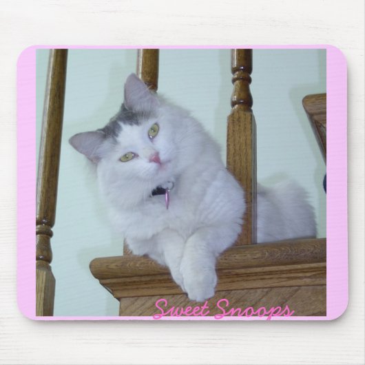 子猫猫のマウスパッド マウスパッド (正面)