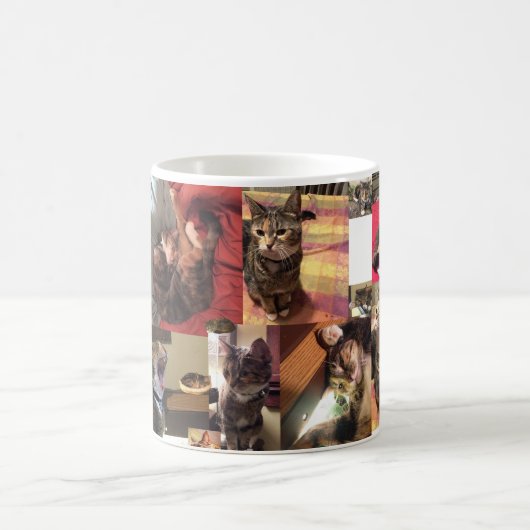 子猫猫のマグ コーヒーマグカップ (中央)