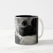 子猫猫の写真 ツートーンマグカップ (正面右)